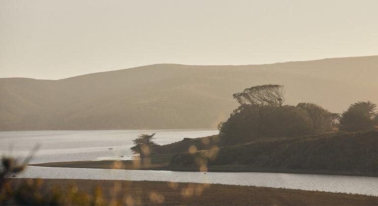 The Straus Home Ranch