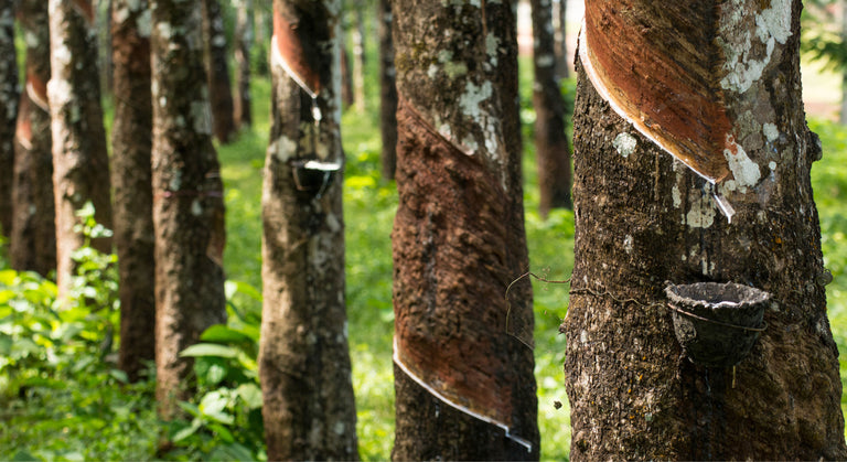 A New Wave Of Performance