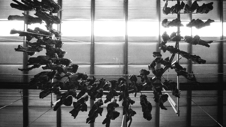 image of Fabric pieces hanging from a bar.